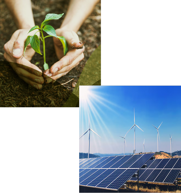 sustainability